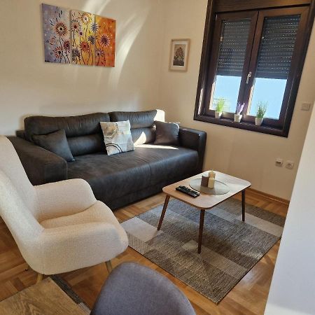 Mb Lux Apartman Vrnjačka Banja Kültér fotó